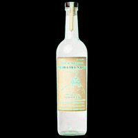 Drink Cheers GIF by Mezcal Piedra del Santo
