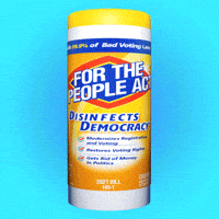 Voting Rights House GIF by Creative Courage