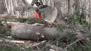 Heavy Equipment Landscaping GIF by JC Property Professionals
