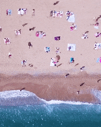 GIF by Atlas Acopian