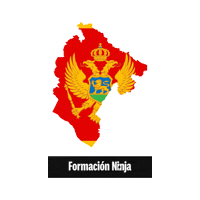 Flag Bandera Sticker by Formación Ninja