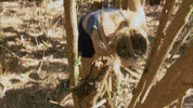 Idol Survivor GIF by CBS