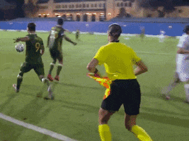 Lets Go Win GIF by Major League Soccer