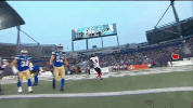 football cfl GIF by Ottawa REDBLACKS