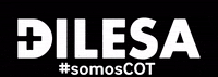 DILESA trauma cot dilesa somoscot GIF