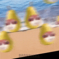 Teto GIF