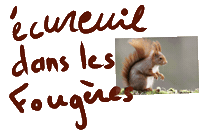 Ecureuil Sticker