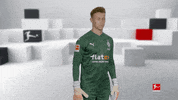 Posing Line Up GIF by Bundesliga