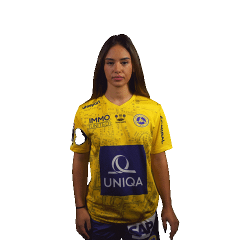 Vienna Hallo Sticker by FirstViennaFC