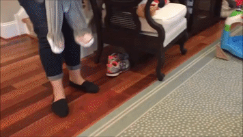 Ruby the Corgi Hilariously Flees From Halloween Costume