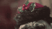 winter wonderland snow GIF by Columbia Records