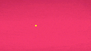 gabrielmellofranco GIF by Studio Hello