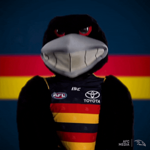 make some noise afl GIF by Adelaide Crows