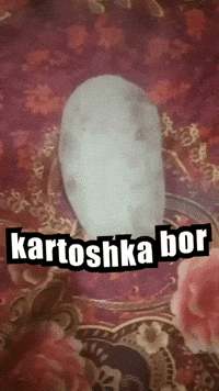 Beda Pres Bor GIF