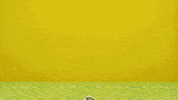 Banana Mania GIF by Super Monkey Ball