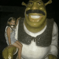 Shrek Meme GIF
