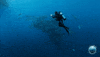 Sylvia Earle School GIF by Mission Blue