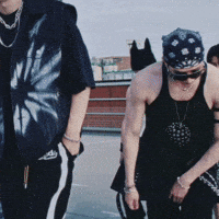 Stray Kids Skz GIF
