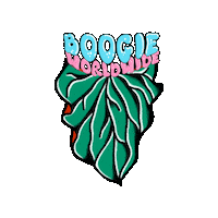 baliexoticanthuriums boogie beac baliexoticanthuriums anthuriums Sticker
