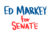 Voting 2020 Election Sticker by Ed Markey