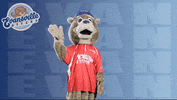 Good Bye Hello GIF by Evansville Otters