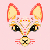 Cat Kitty GIF by animalz