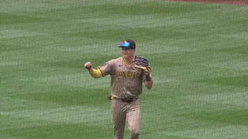 San Diego Padres Sport GIF by MLB