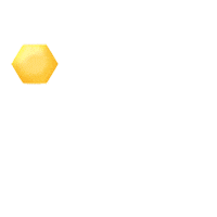 honey bee bees Sticker by Pass the Honey