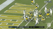 Philadelphia Eagles Football GIF by NFL