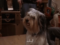 season 6 netflix GIF by Gilmore Girls 