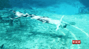 mermaid merman GIF by Digg