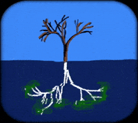 Inside And Out Water GIF by Barbara Pozzi