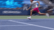 Us Open Sport GIF by Tennis Channel