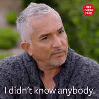 cesar millan i didn't know anybody GIF by Red Table Talk
