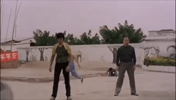 kung fu GIF