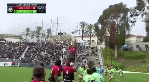 sammytuitalifalinoaa giphyupload GIF