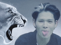 Kpop GIF