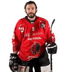 Hockey Yes Sticker by HDD SIJ Acroni Jesenice