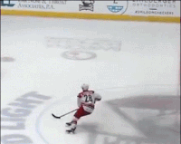 checkershockey hockey hit ahl charlotte checkers GIF