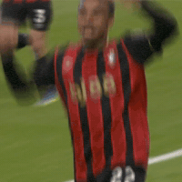 Happy Premier League GIF by AFC Bournemouth