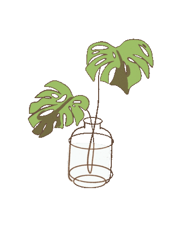 Monstera Vase Sticker by Onme Cosmetics
