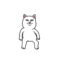 RIPNDIP_CAT angry alien fuck angel Sticker
