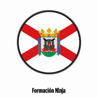 Flag Spain GIF by Formación Ninja