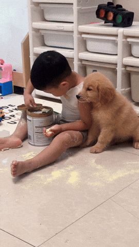 cuteanimalland giphyupload GIF