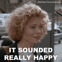 Walker Texas Ranger GIF by Sony Pictures Television