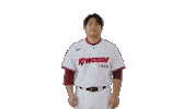 Kbo Sticker by Kiwoom Heroes Baseball Club