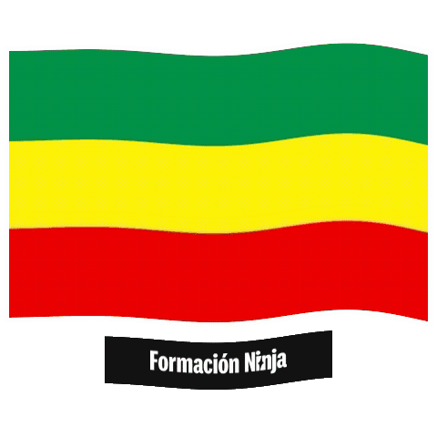 Flag Barcelona Sticker by Formación Ninja