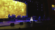GIF by Tribeca Film Festival