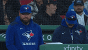 Blue Jays Baseball GIF by Toronto Blue Jays