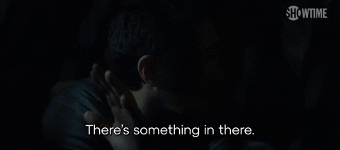Season 1 GIF by SHOWTIME